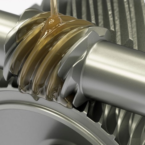 iStock_000045876096XLarge_resized